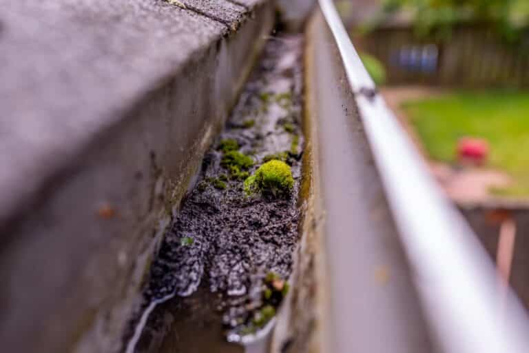 Up close photo of a clogged gutter full with mud, sand and debris. Moss grow inside